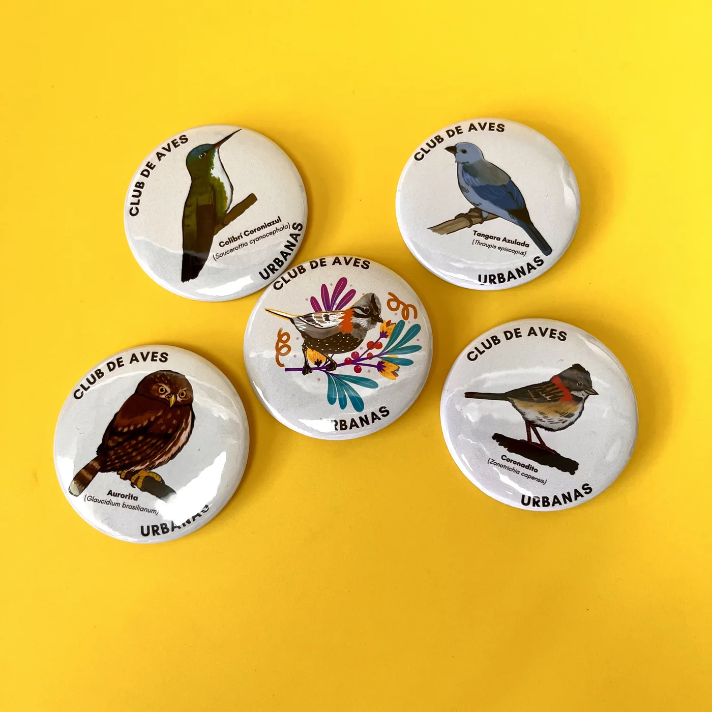 Chapas del Club de Aves Urbanas